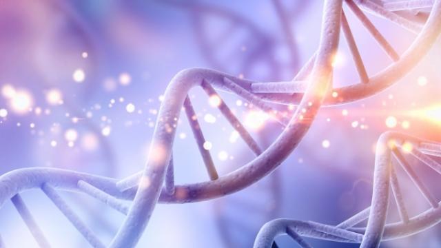 la science avance sans animaux