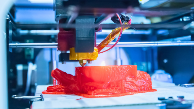 3D printen van organen
