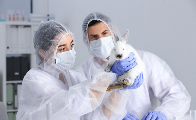 psd